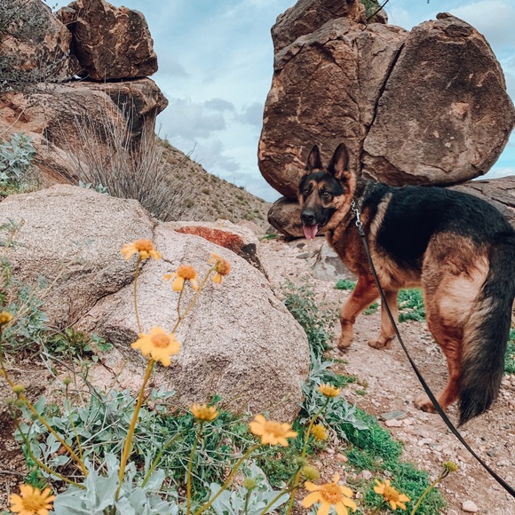 Meet your Posher, Katie - Picture 8 of 8